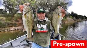 Fishing Between Storms/Pre Spawn Bass/Chatterbait-Castaic Lake