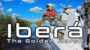 Iberá The Golden Marsh | Golden Dorado Fly Fishing in Argentina