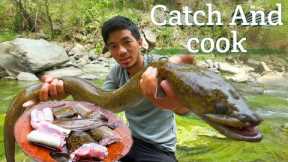 Catching the Freshwater eel {catch and cook} Eat in Naga style || Jungle infinity