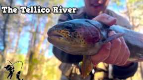 Always A Fun Time On The Tellico! | Fly Fishing East Tennessee