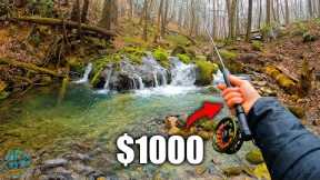 $1000 Rod and Reel Combo: Worth the Money??? (Fly Fishing)