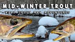 Fly Fishing For Mid-Winter Pennsylvania Trout (STREAMERS)