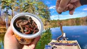 A Simple Way To Catch Crappie With Live Worms