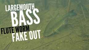 Largemouth Bass Flute Worm Fake Out #shorts