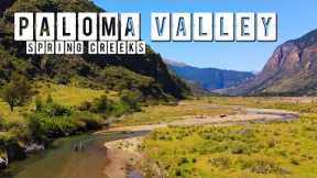 Fly Fishing Patagonia's Paloma River Valley & Spring Creeks for Rainbow & Brown Trout