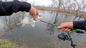 Creek Fishing with Ultralight Tackle for White Bass