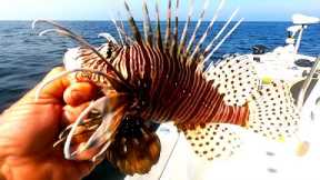 Trash Fish or Treasure - Catch Clean and Cook Lion Fish