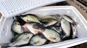 How To Catch, Clean, Cook and Properly Freeze *CRAPPIE*