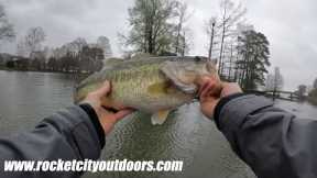 Pre Spawn Bass Fishing on Wilson Lake in Alabama