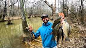 I Turned These Fish into LOBSTER! This BACKWOODS CREEK was LOADED! (Catch and Cook!)