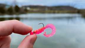 This TINY Pink Lure is a Fish Catching Machine! (Pond Fishing)