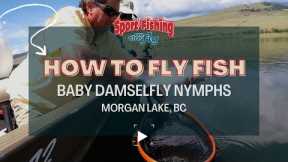 FLY FISHING: BABY DAMSELFLY NYMPHS