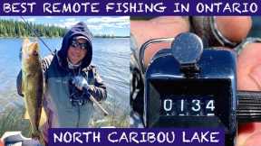 BEST REMOTE FISHING IN ONTARIO! - NORTH CARIBOU LAKE