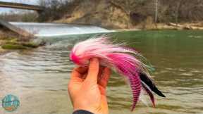 Fly Fishing for a True River Monster! (Musky Fishing)