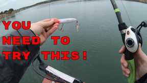 Best lures for schooling bass! Topwater action on Canyon Lake! (Fishing with new Sub)