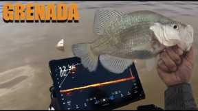 Grenada Lake Crappie ( BEST MONTH OF THE YEAR )