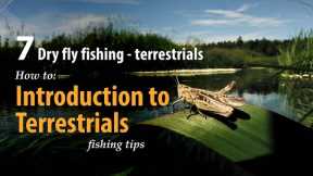 How to • Dry fly fishing - Terrestrials • Introduction • fishing tips