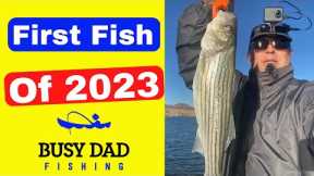 First Fish 2023 at Lake Mead | Surprise Water Level at Hatchery Saddle Point