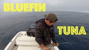 Fishing for Bluefin Tuna off a Small Boat ||| HONEY HOLE FISHING