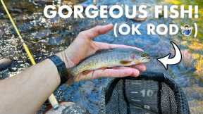 I Really Wanted to Like This Rod... But I Didn't (Tenkara Fly Fishing)