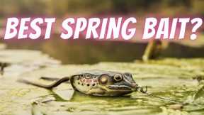 Is Frog Fishing The Best Spring Technique This Year? Lake Fork Bass Fishing Seminar: Frog Tips