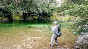 3-Day Fly Fishing Adventure: Sight Fishing for Big Trout in NZ's Backcountry