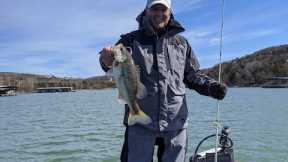 Table Rock Lake Video Fishing Report Feb 22, 2023