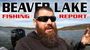 Beaver Lake Fishing Report February Recap 2023