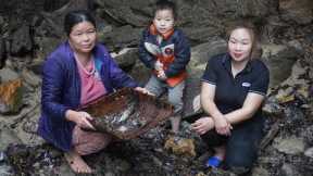 Catch fish in the stream on weekends | Cooking with mom - Triệu Pham