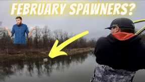 Lake Fork Bass Fishing, Prespawn to Spawn Faster Than Ever Before, First Sight Fish of 2023!!!