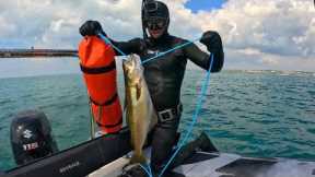 Devon Coast Boat Spearfishing Adventure Catch and Cook