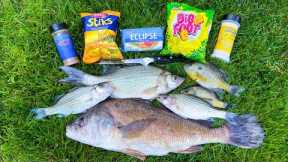 Fishing for Dinner - Bluegill, Bass and Drum Cookout!