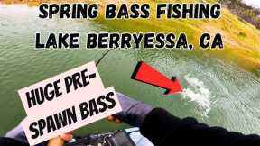 Spring Bass Fishing | Lake Berryessa ** A LOT OF ACTION**