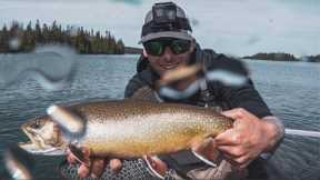 Fly Fishing Lake Superior Coaster Brook Trout | Dark Waters Fly Shop