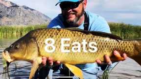 8 eats in 8 minutes - Carp Fly Fishing