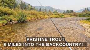 I GO HERE - When I want to catch a bunch of trout and never see anyone! part 28