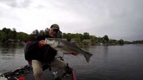 Striper Fishing With A Crappie Appetizer, Lake Murray