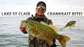 Lake St Clair Spring Fishing - 59 Bass on Crankbaits & Baby Tubes!