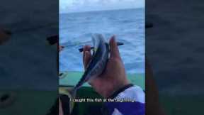 Challenge the smallest sea fishing tuna in the whole network. Have you ever caught such a small tuna