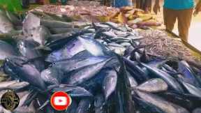 Amazing Seeer Fish Cutting Skill/ Expert Cutting Seer Fish In galle srilanka  Fish Market