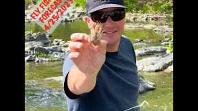 Mossy Creek Fly Fishing Forecast 4/25/2023