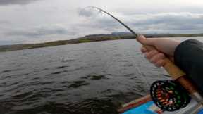 UNBELIEVABLE!! FLY FISHING For WILD BROWN TROUT In IRELAND!!