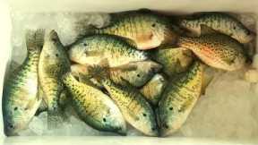 LIMIT OF CRAPPIE | SPRING FISHING | LAKE OF THE OZARKS
