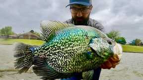 The BIGGEST CRAPPIE in the LAKE!!!