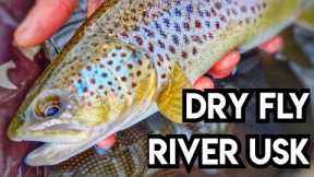 There's A Storm Coming! River Usk Dry Fly Fishing For Brown Trout