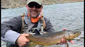 EPIC FLY FISHING ON THE MADISON RIVER MONTANA 4K