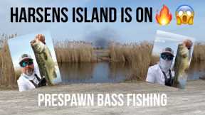 Lake St Clair Prespawn Bass Fishing on Harsens Island