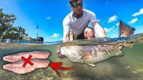 Stop Cleaning Fish Like This!!!  catch and cook redfish