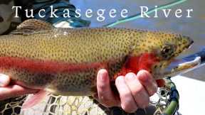 An incredible fly fishing adventure (Tuckasegee River)