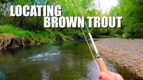 Understanding & Locating Brown Trout in a Stream & How to Catch Them - POV